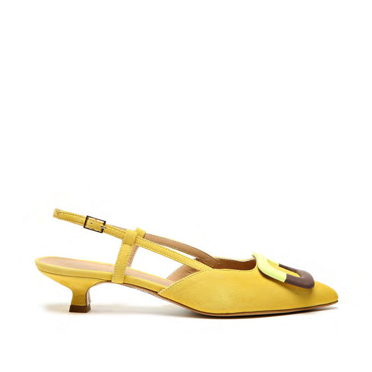 V02 - Camoscio Turmerich