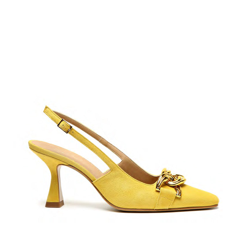 V57 - Camoscio Turmerich