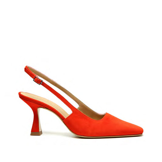 V58 - Camoscio Rossetto